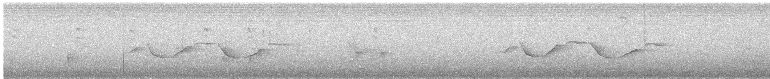 Gözlüklü Drongo Sinekkapanı - ML353878221