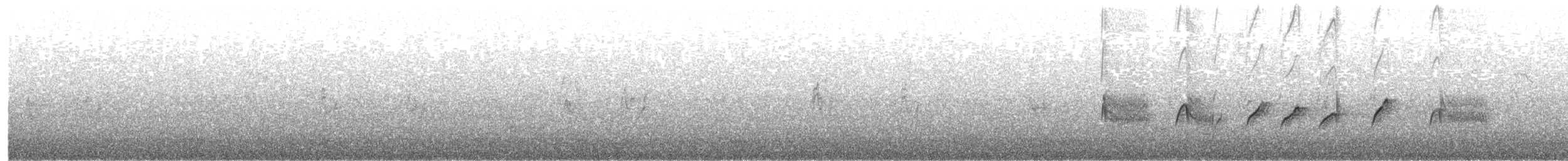 Western Rock Nuthatch - ML353952031