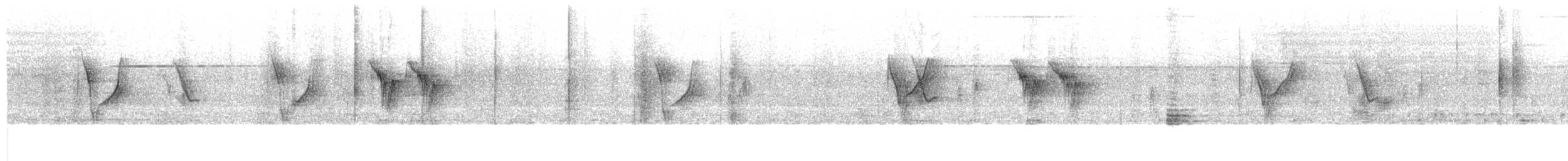 White Wagtail (Hodgson's) - ML354161991
