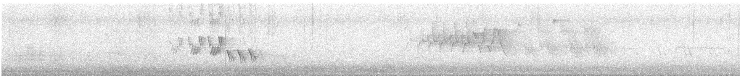 Черногорлая хвойница - ML354170061