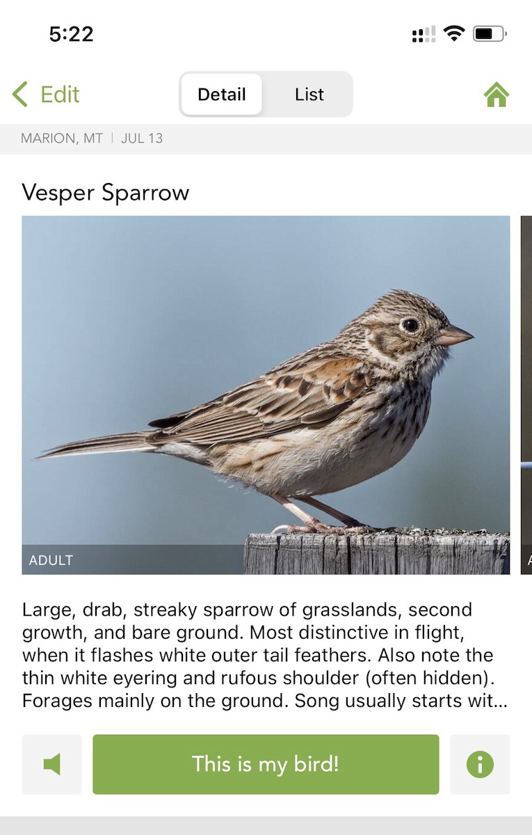 Vesper Sparrow - ML354261661