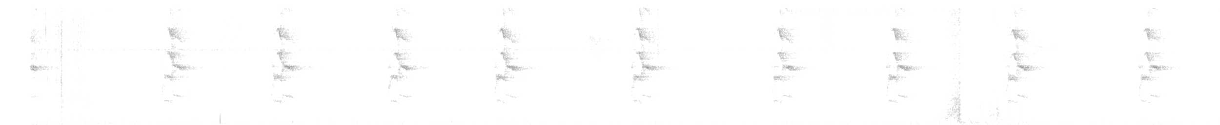 シラヒゲユミハチドリ - ML354411671