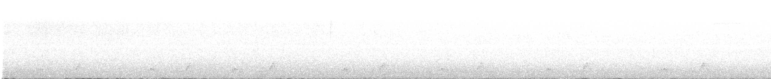 Mexikonachtschwalbe - ML354413021