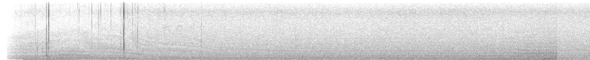 Black-naped Tern - ML354489141