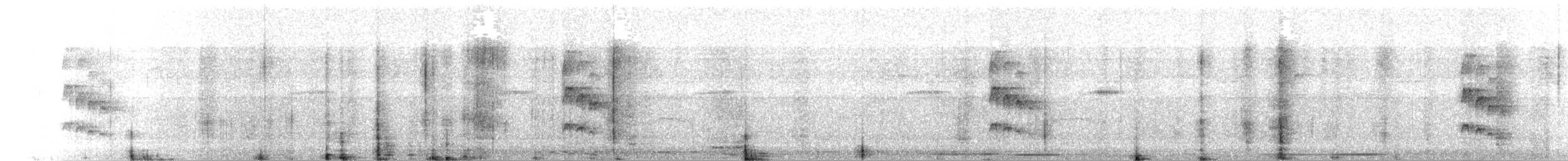 Stub-tailed Spadebill - ML354496981
