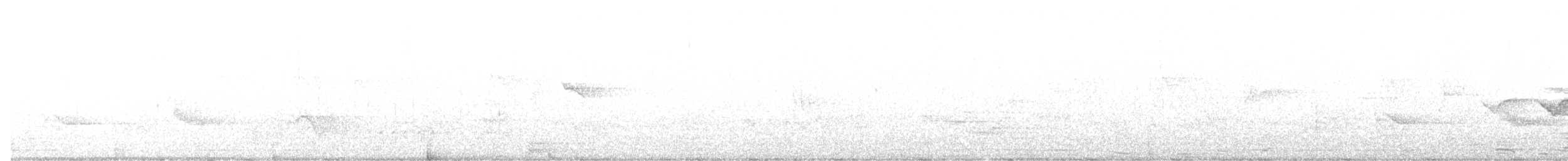 Paruline à capuchon - ML354502621