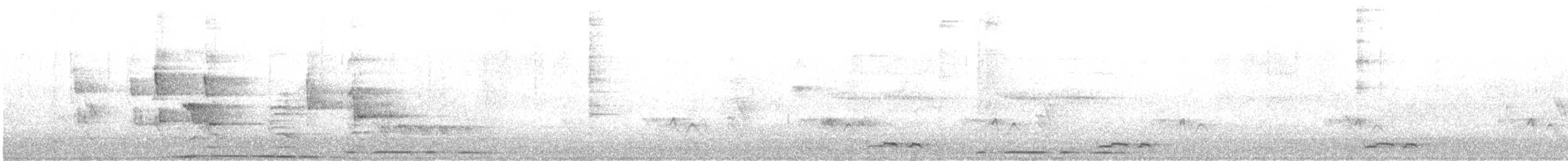 holub pobřežní - ML354532091