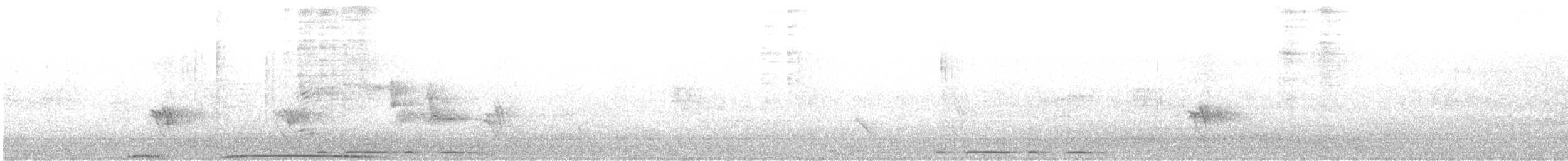 holub pobřežní - ML354532311