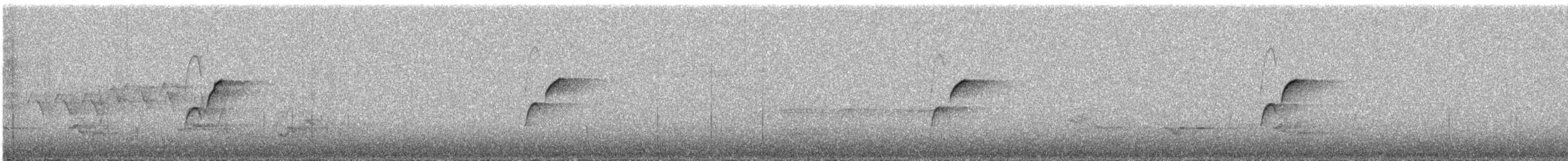 Batı Amerika Sinekkapanı (occidentalis/hellmayri) - ML354540971