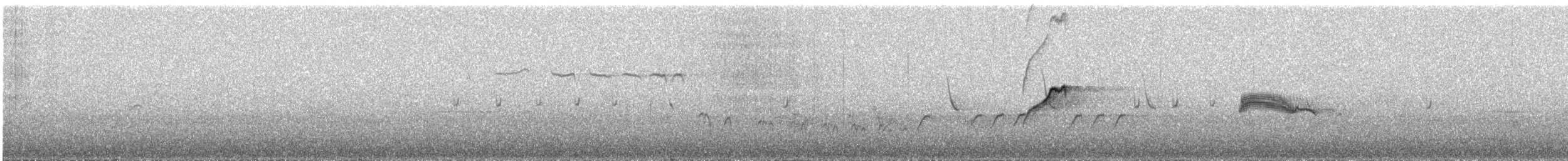 Batı Amerika Sinekkapanı (occidentalis/hellmayri) - ML354546051