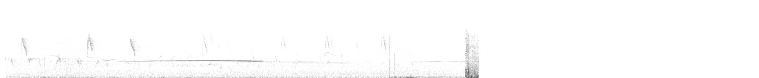 hvitbukmønjefugl - ML354563821