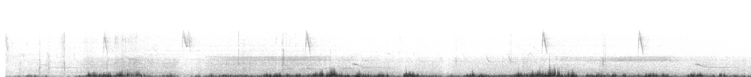 Weißbauch-Mennigvogel - ML354563831