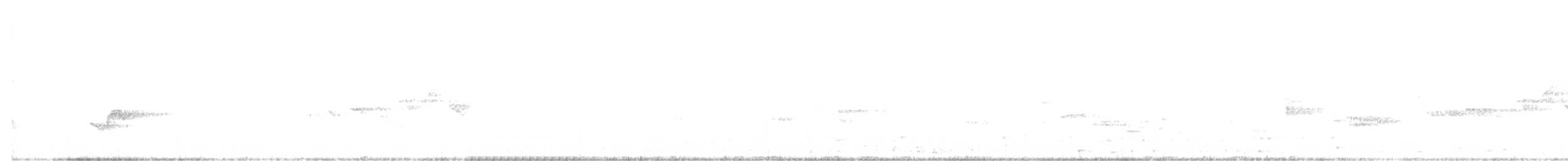 Piranga écarlate - ML354598271