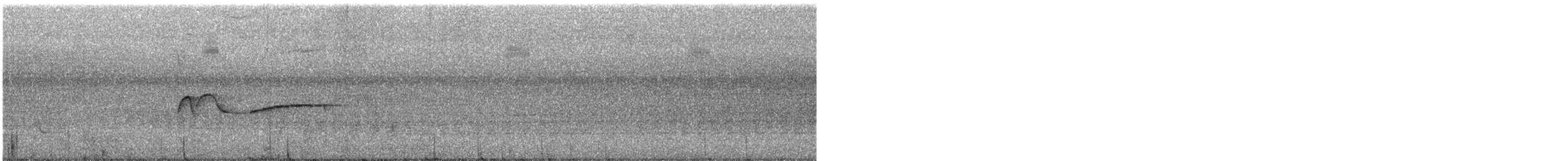 Hellbauch-Schnäppertyrann - ML354600511