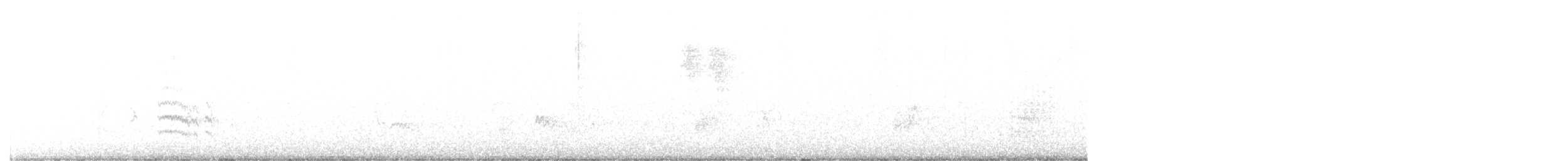 Weißbrustkleiber - ML354603221