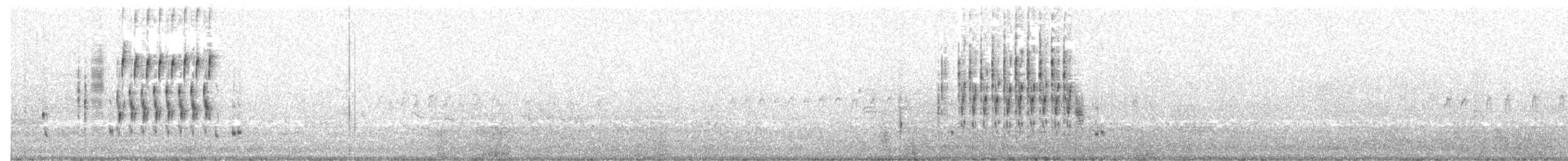 Troglodyte des marais - ML354641231
