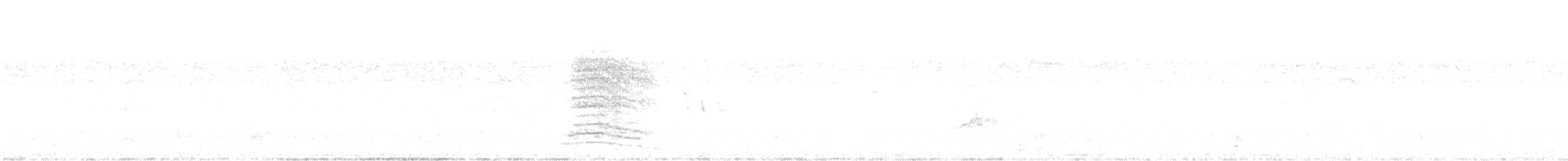 Katzenspottdrossel - ML354694921