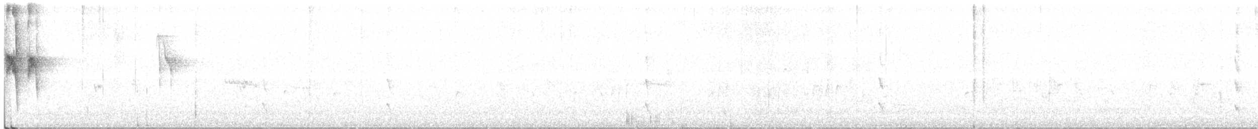 Mohoua à tête blanche - ML354725001