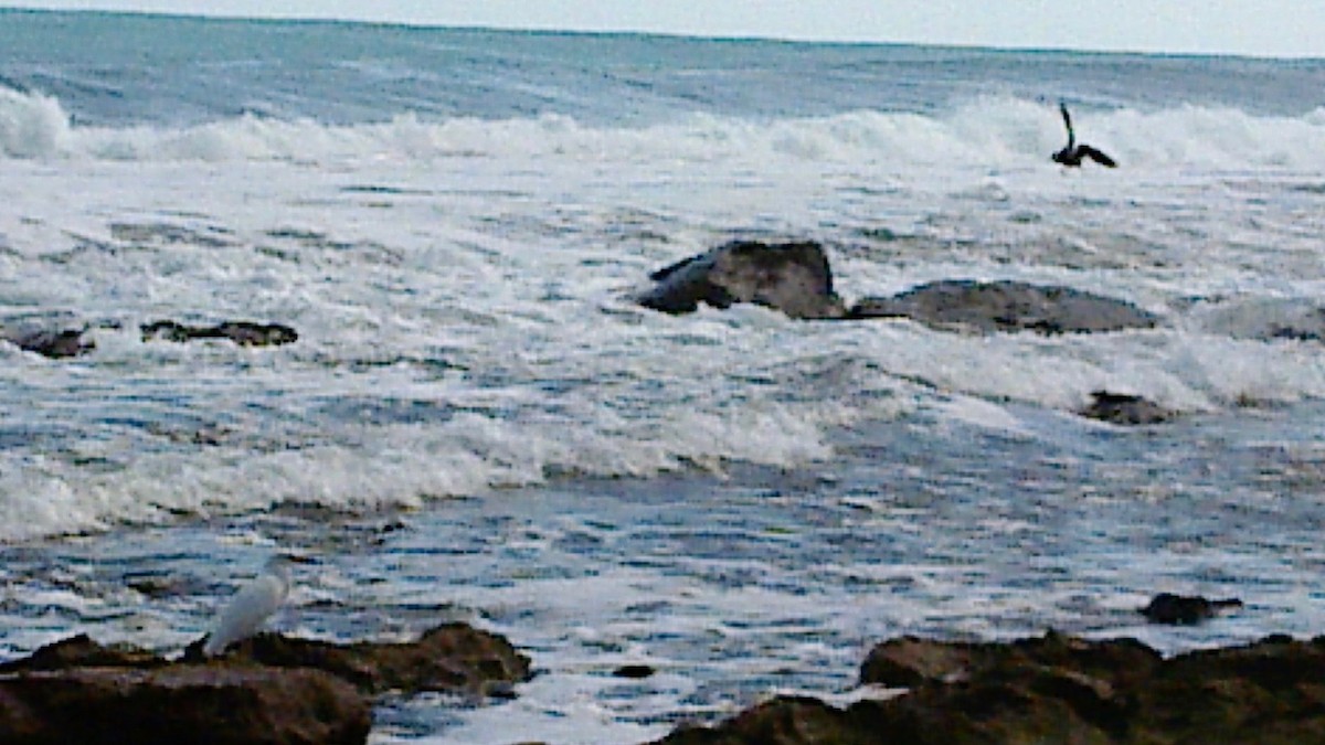 sothegre - ML354747191