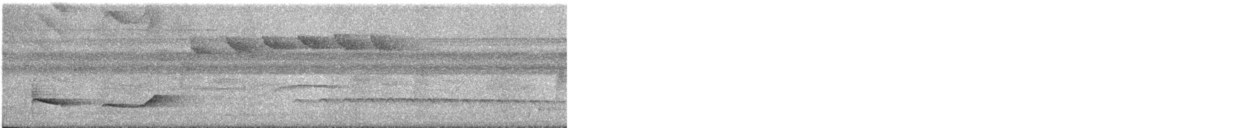 Varzea Schiffornis - ML354750361