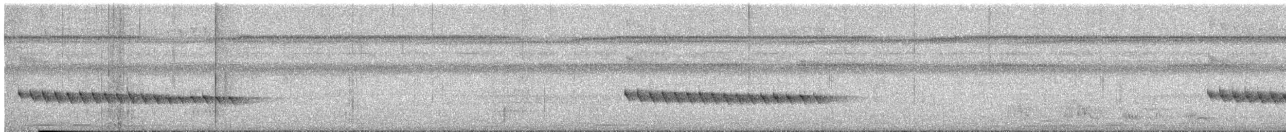 Long-billed Gnatwren - ML354751411