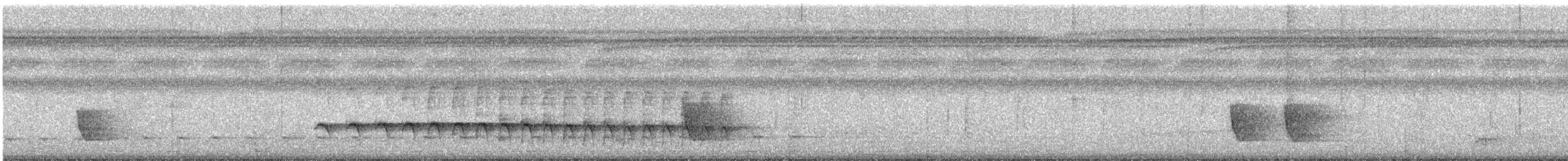 Kara Kuyruklu Karıncakuşu - ML354752761