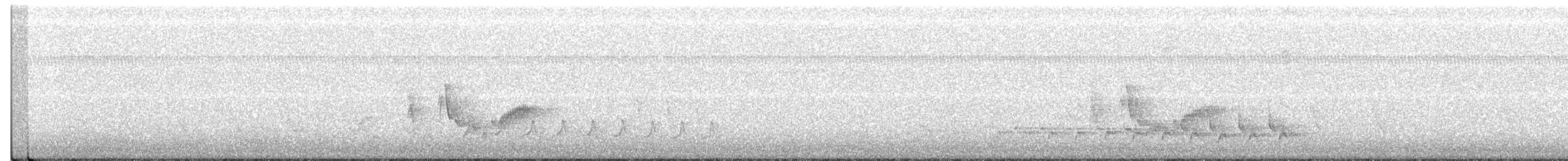 White-eyed Vireo - ML354768121