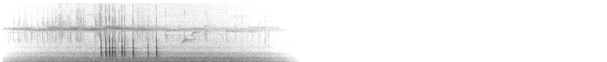 Дятел-смоктун білочеревий - ML354900471