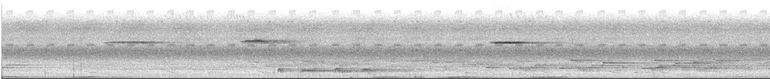 Malabar Whistling-Thrush - ML354926011