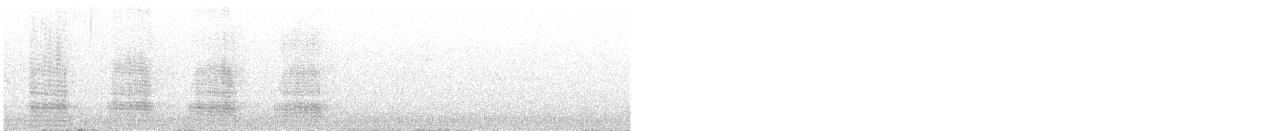 Sarcelle australasienne - ML354938491