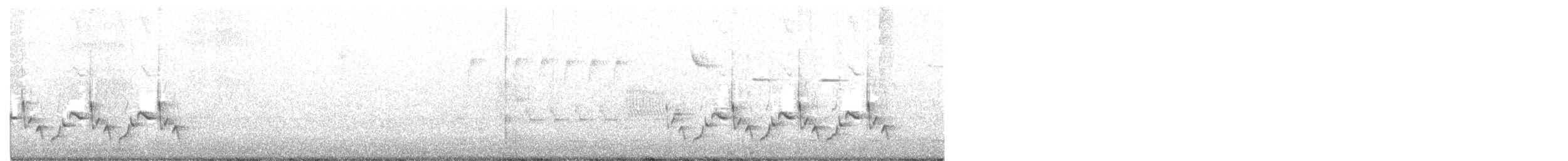 Troglodyte de Caroline - ML354954081