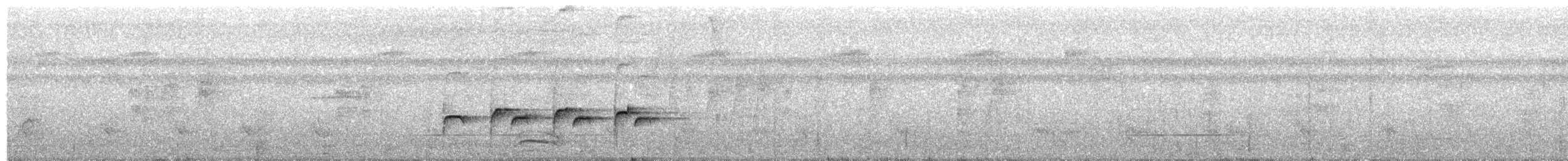 Willis's Antbird - ML355000301