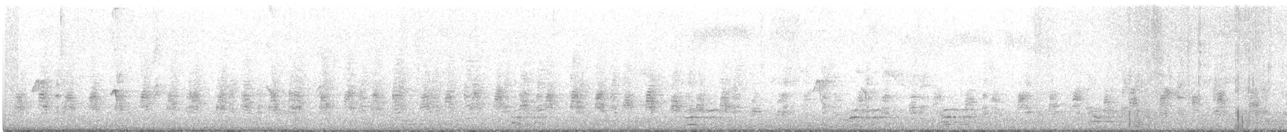 ダイサギ - ML355023931