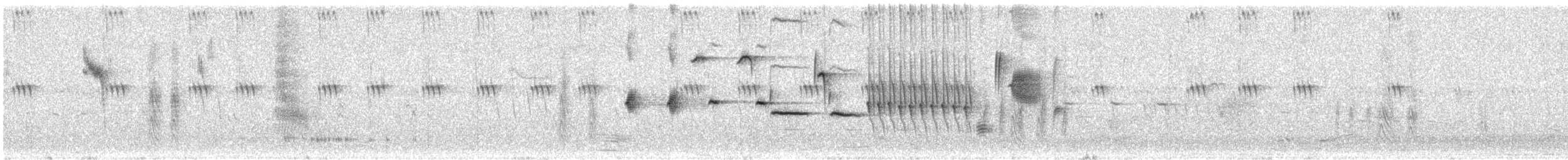 Singammer (melodia/atlantica) - ML355102771