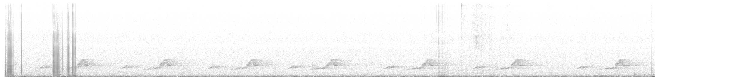 Schwarzkehl-Nachtschwalbe - ML355147731