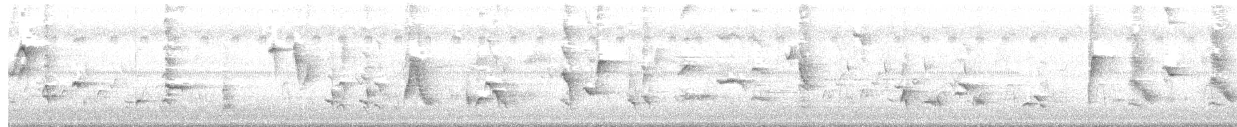 Gray Catbird - ML355188891