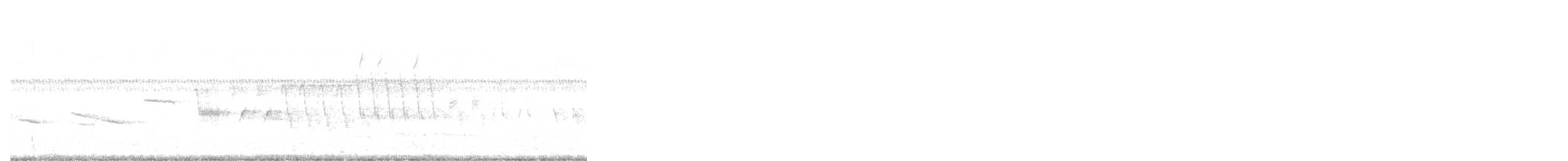 Chingolo Coliblanco - ML355200551