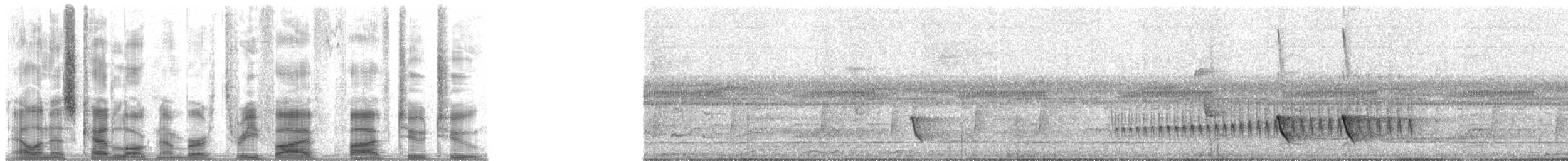 Açık Suratlı Çıtkuşu - ML35522