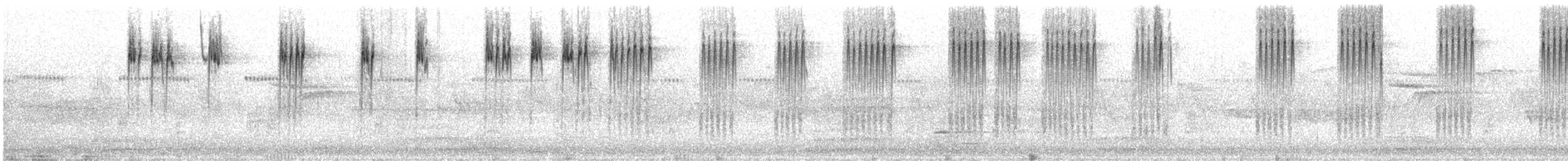 Cırcır Sesli Serçe - ML355226401