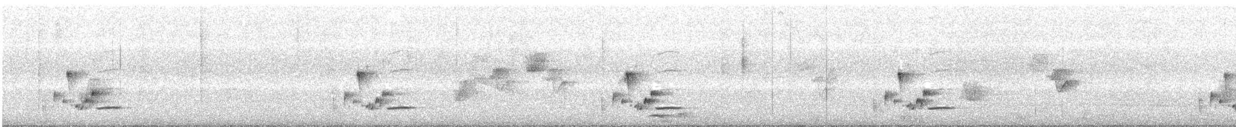 Ak Karınlı Çıtkuşu - ML355321871