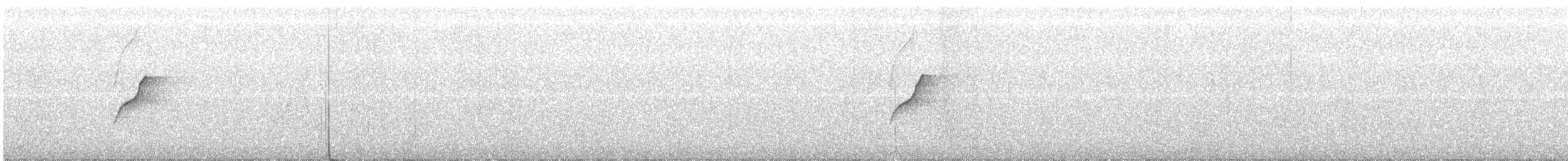 Batı Amerika Sinekkapanı (occidentalis/hellmayri) - ML355381911