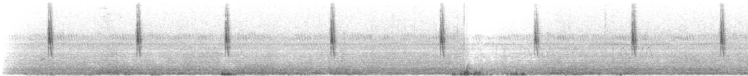 Paddyfield Pipit - ML355454341