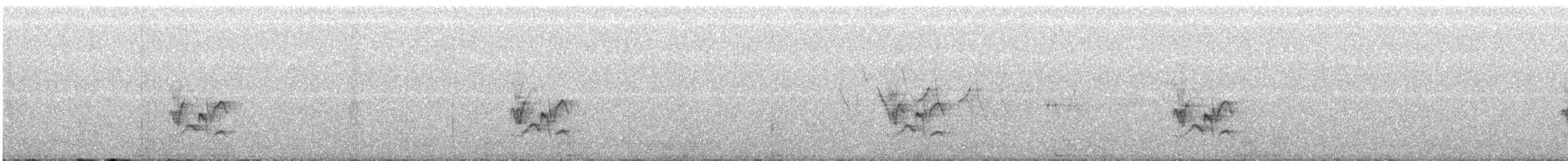 Cassin's Finch - ML355545571