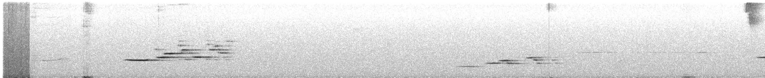 Дрізд-короткодзьоб плямистоволий - ML355582411