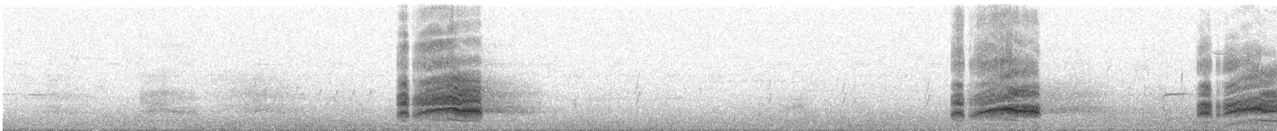 裏海燕鷗 - ML355620251