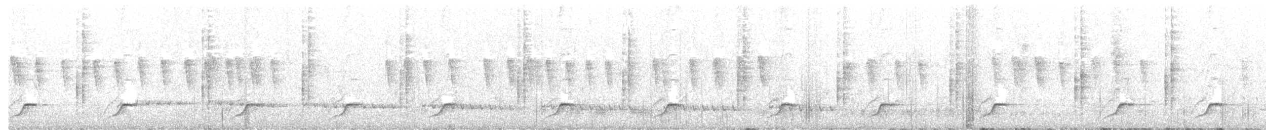 Schwarzmantel-Schneeballwürger - ML355703131