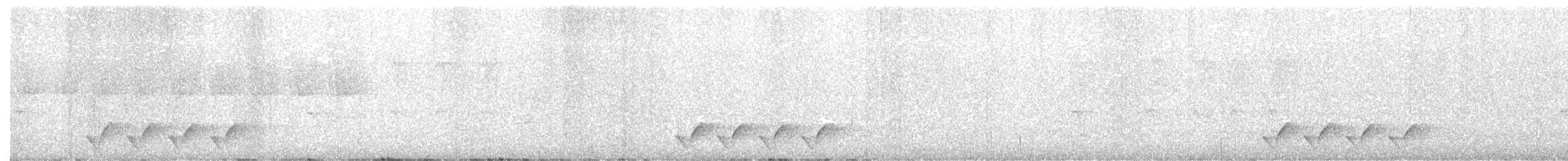 Füllebornwürger (usambaricus) - ML355703311