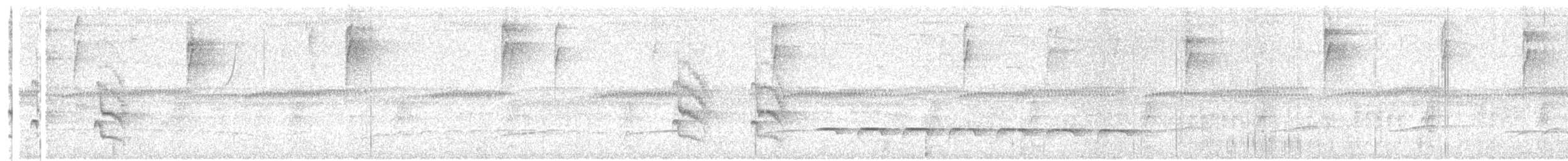 ズキンヒメアリサザイ - ML355714441