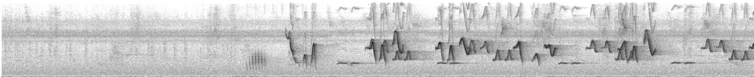 Bay Wren - ML355717861