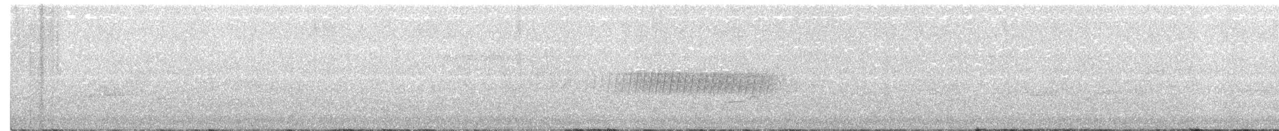 Пісняр-лісовик сосновий - ML355746341